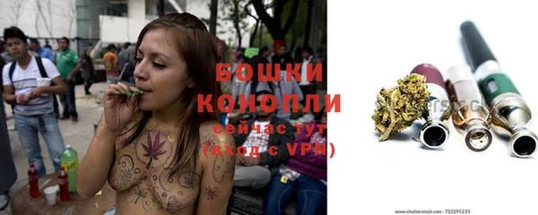 ПСИЛОЦИБИНОВЫЕ ГРИБЫ Нижний Тагил