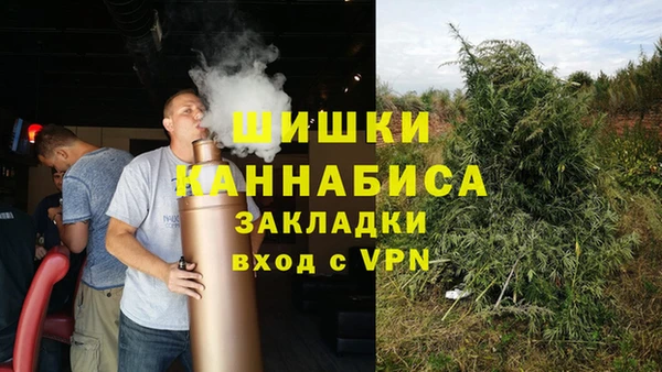 ПСИЛОЦИБИНОВЫЕ ГРИБЫ Нижний Тагил