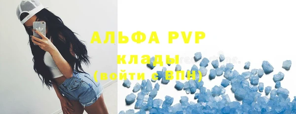 прущие крисы Чита