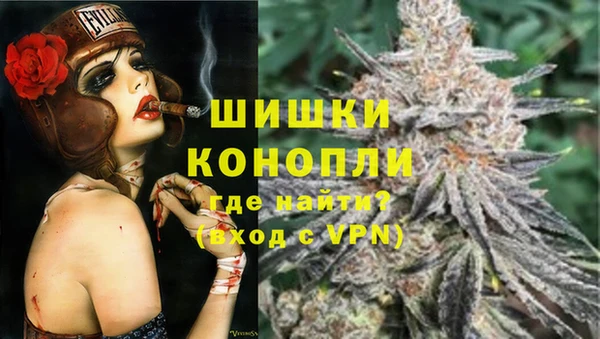 ПСИЛОЦИБИНОВЫЕ ГРИБЫ Нижний Тагил