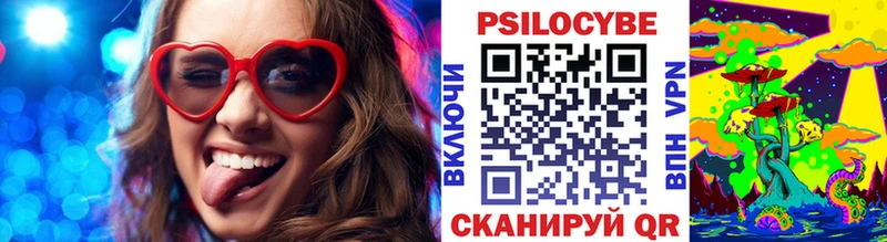 купить цена darknet формула Галлюциногенные грибы GOLDEN TEACHER Чекалин