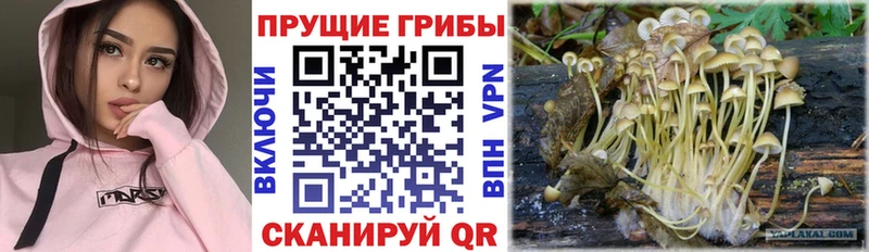 Псилоцибиновые грибы ЛСД Чекалин
